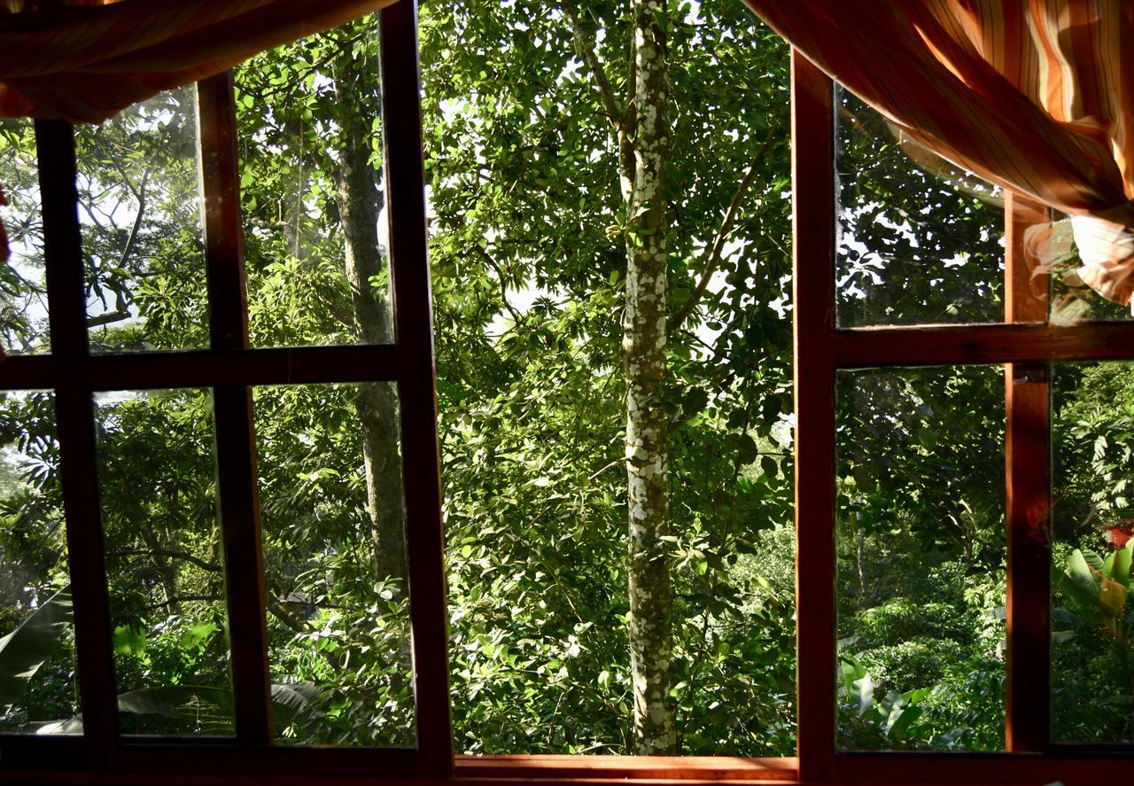 Centro Ecoturistico Cabanas Encantadas Vila Catemaco Exterior foto